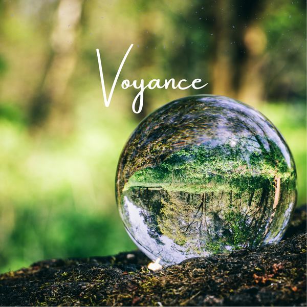 Voyance guidance